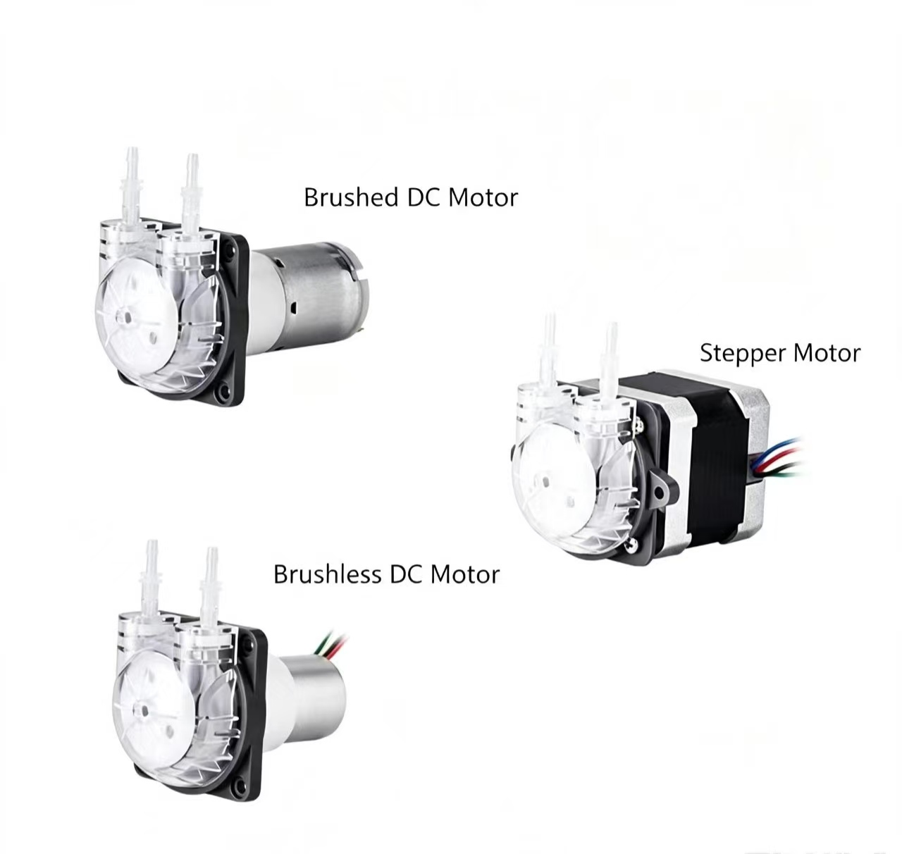 Mini Peristaltic Pump 12V - Mikropompa perystaltyczna PENGPU 24V z silnikiem